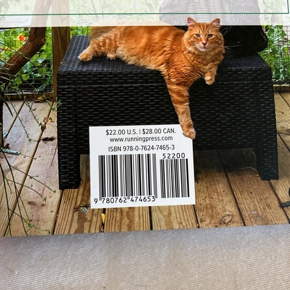 Indoor Cat Book Laura J. Moss Enrich Cat Life Guide Pet Care Hardcover - Picture 3 of 11